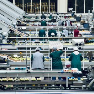 a group of people in a factory